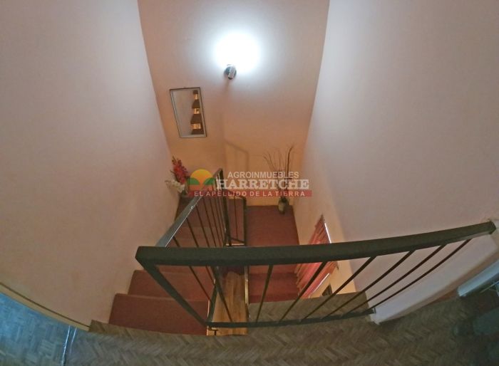 imagen  de la propiedad 117957