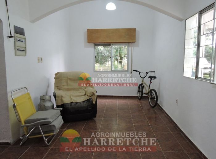 imagen  de la propiedad 117958