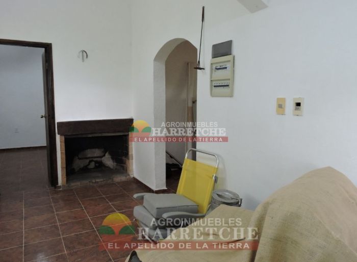 imagen  de la propiedad 117958