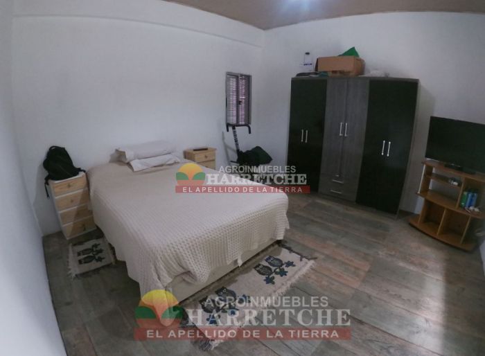 imagen  de la propiedad 117958
