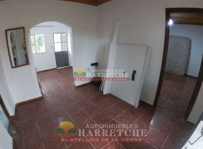 imagen  de la propiedad 117958