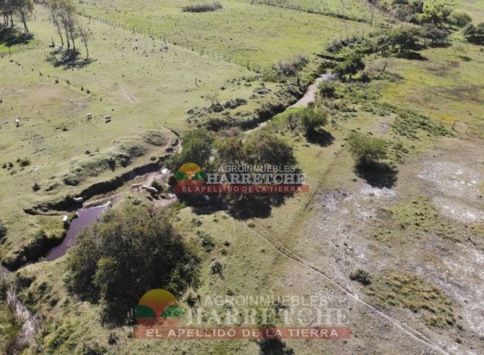 imagen  de la propiedad 117958