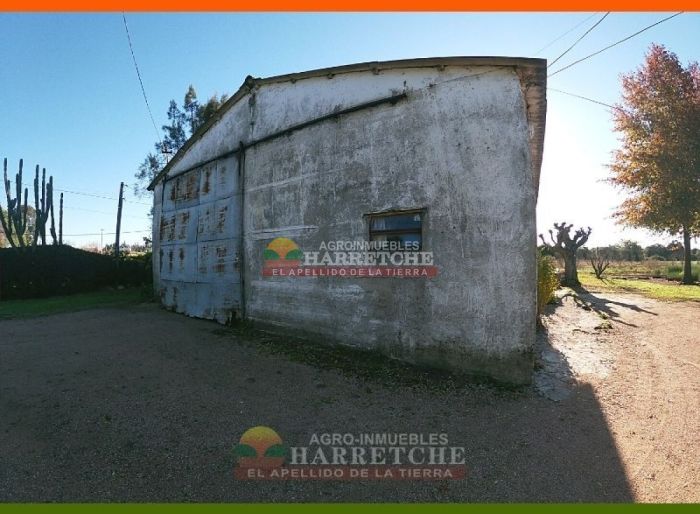 imagen  de la propiedad 117972