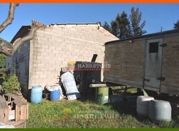 imagen  de la propiedad 117972