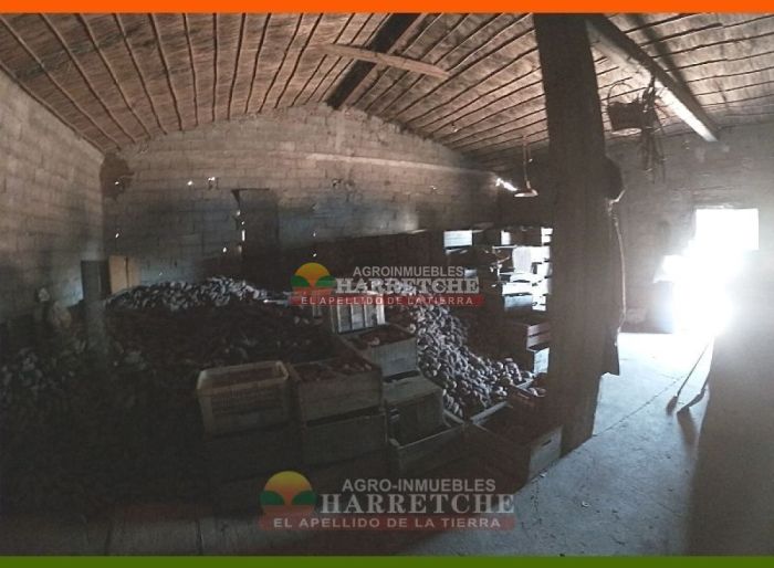 imagen  de la propiedad 117972