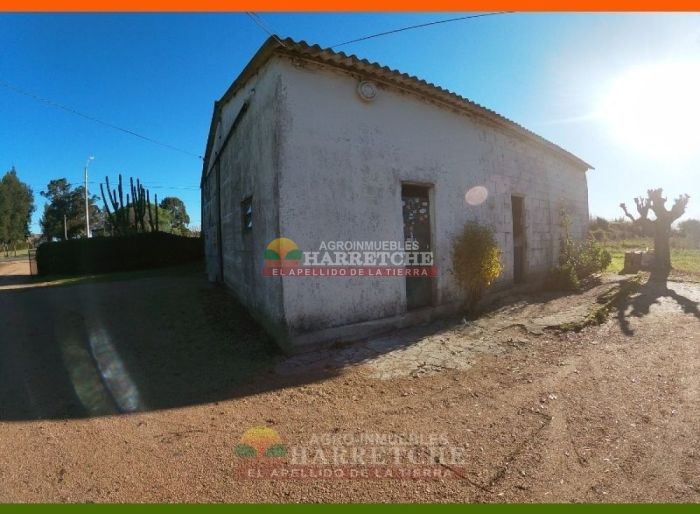 imagen  de la propiedad 117972