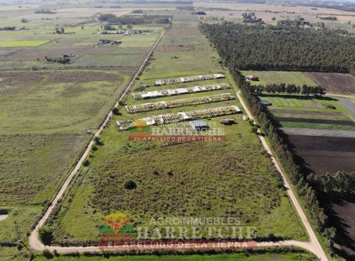 imagen  de la propiedad 117977