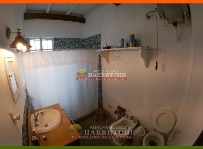 imagen  de la propiedad 117979