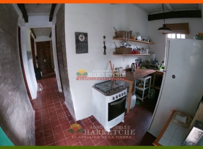 imagen  de la propiedad 117979
