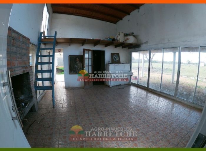 imagen  de la propiedad 117981