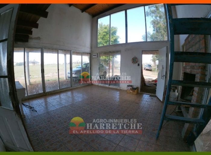 imagen  de la propiedad 117981