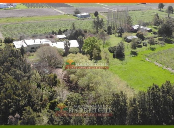 imagen  de la propiedad 117982