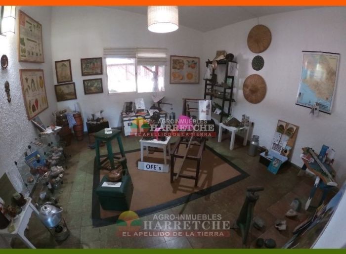 imagen  de la propiedad 117982