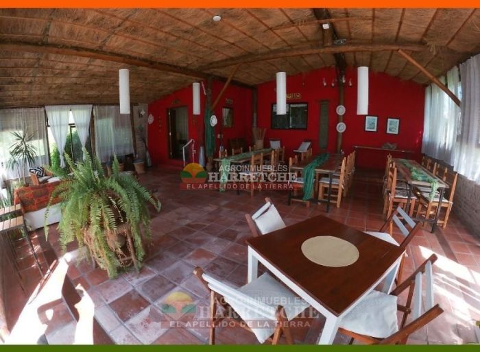 imagen  de la propiedad 117982