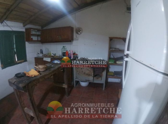 imagen  de la propiedad 117986