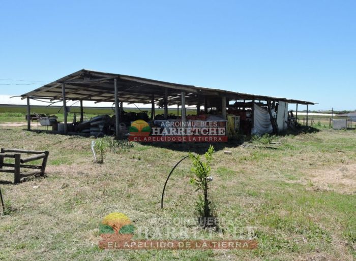 imagen  de la propiedad 117986