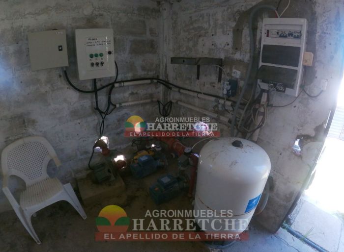 imagen  de la propiedad 117986