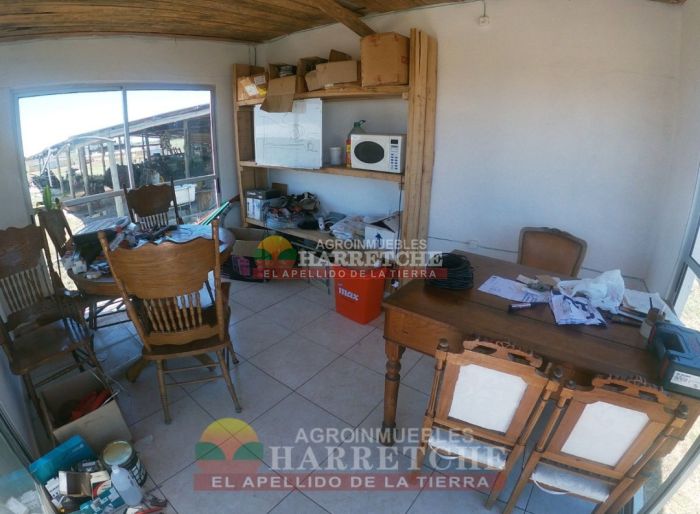 imagen  de la propiedad 117986