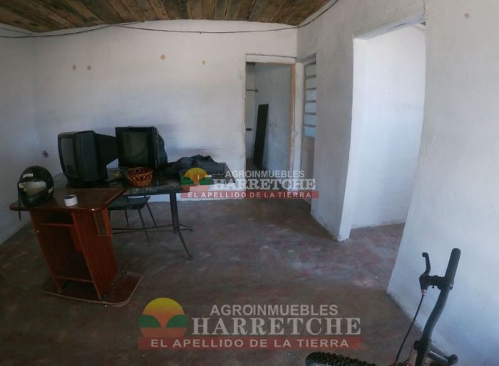 imagen  de la propiedad 117986