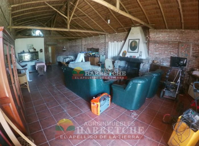 imagen  de la propiedad 117986