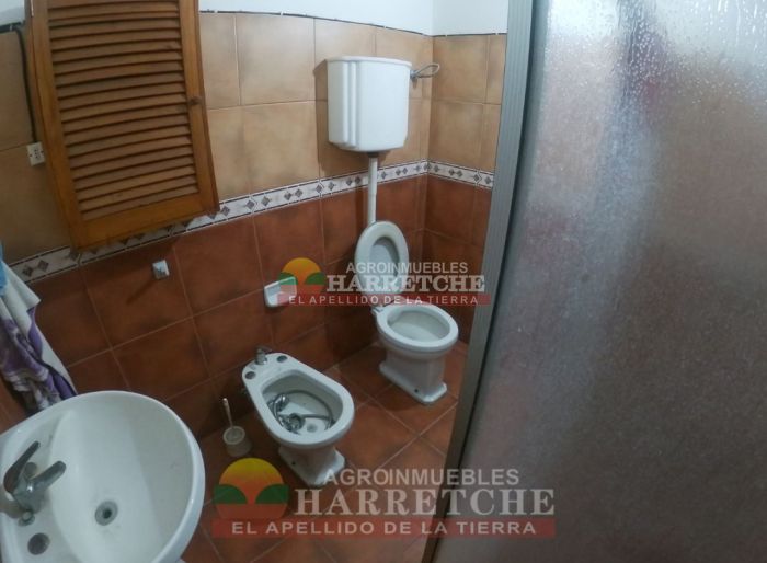 imagen  de la propiedad 117986