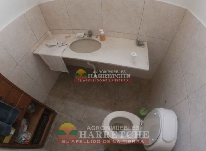imagen  de la propiedad 117986