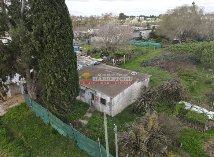 imagen  de la propiedad 118919