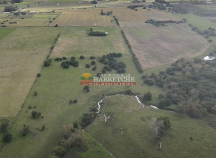 imagen  de la propiedad 118921