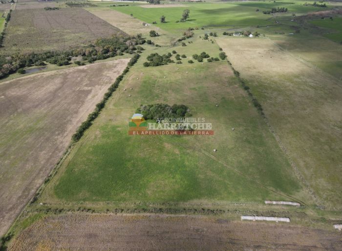 imagen  de la propiedad 118921