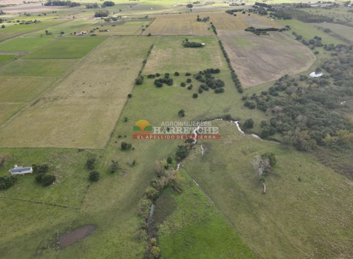 imagen  de la propiedad 118921