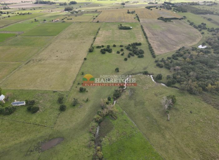 imagen  de la propiedad 118921
