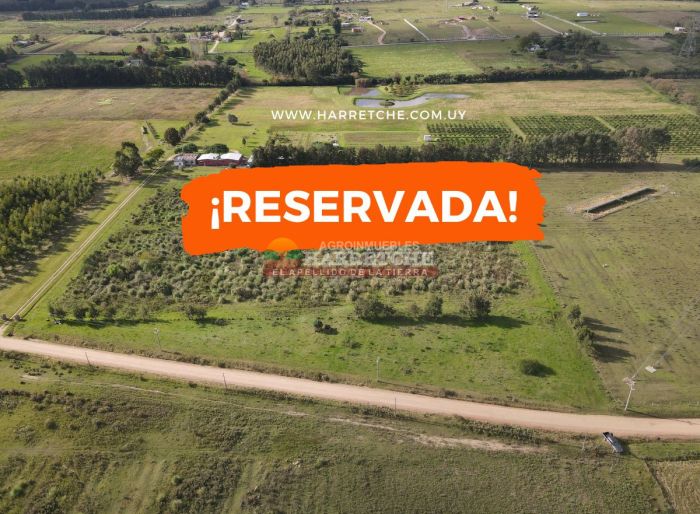 imagen  de la propiedad 118923