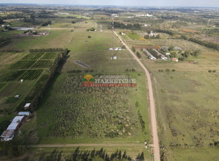 imagen  de la propiedad 118923