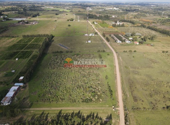 imagen  de la propiedad 118923