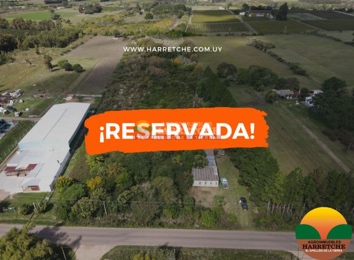 imagen  de la propiedad 118924