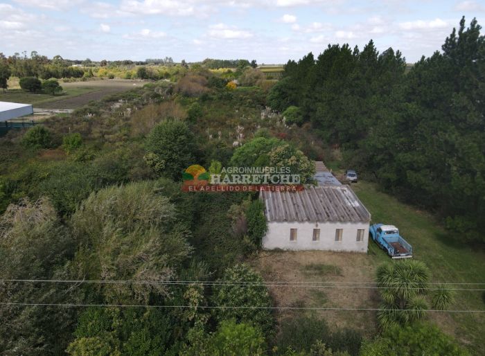 imagen  de la propiedad 118924