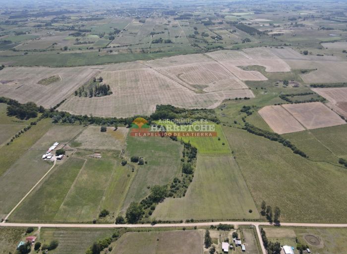 imagen  de la propiedad 118926