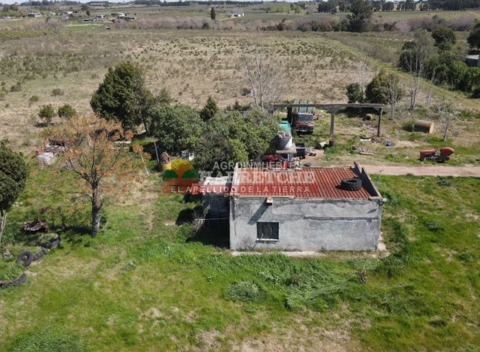 imagen  de la propiedad 118932