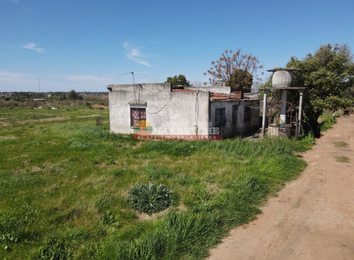 imagen  de la propiedad 118932