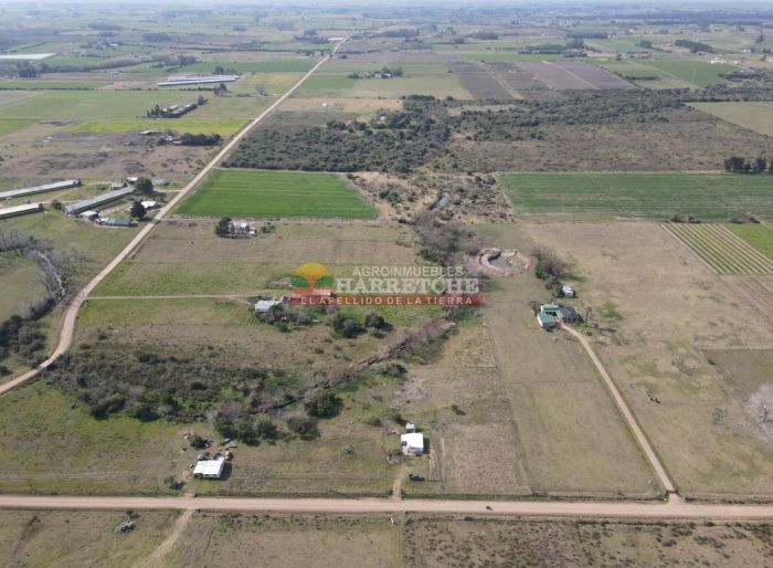 imagen  de la propiedad 118933