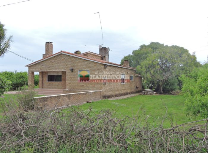 imagen  de la propiedad 118941