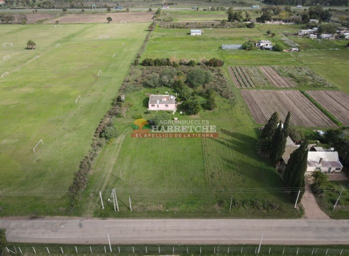 imagen  de la propiedad 118942