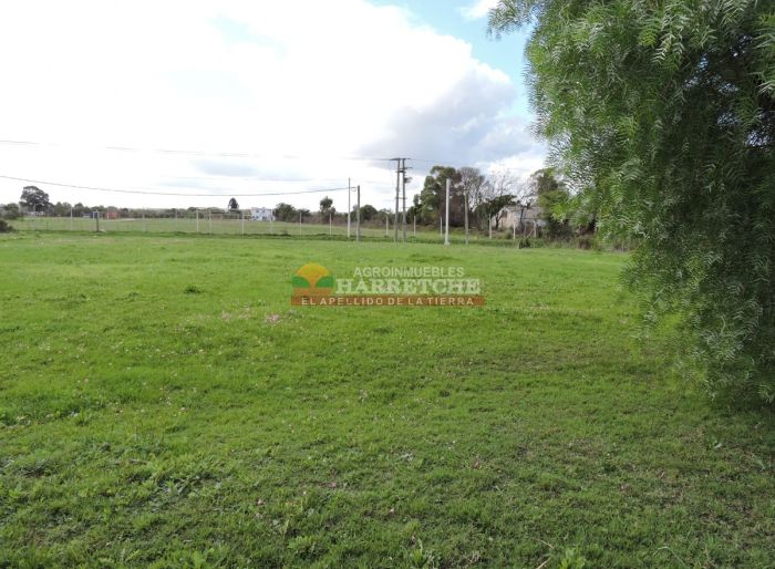 imagen  de la propiedad 118942