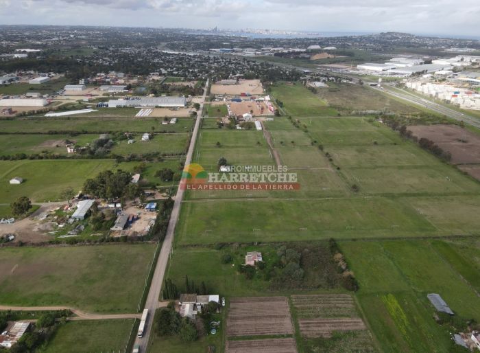 imagen  de la propiedad 118942