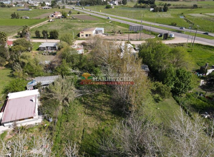 imagen  de la propiedad 125443