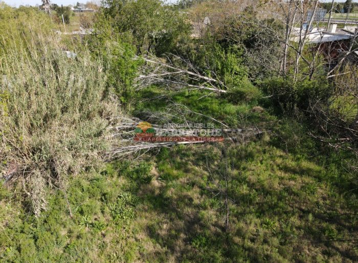 imagen  de la propiedad 125443