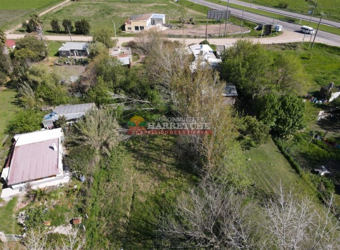 imagen  de la propiedad 125443