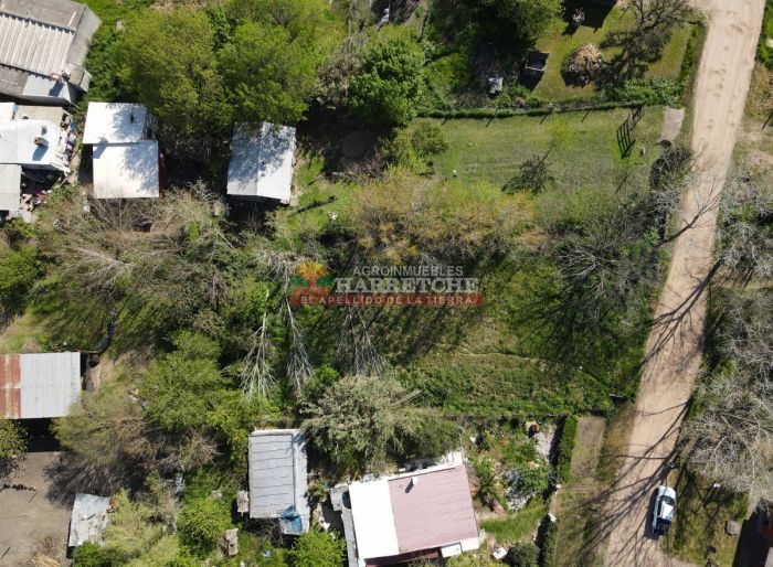 imagen  de la propiedad 125443
