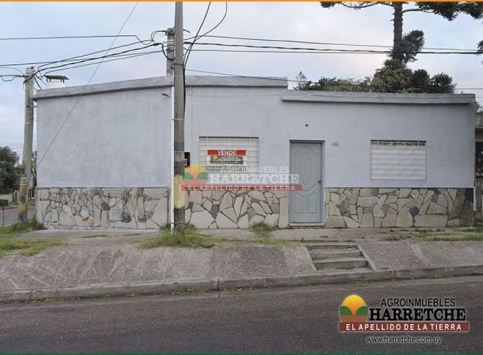 imagen  de la propiedad 126424