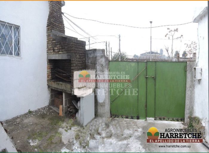 imagen  de la propiedad 126424